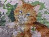 IMG_20200216_232216.thumb.jpg.218fa1f6446934ca5dc45375a057d1a8.jpg