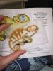 IMG_20200223_000224.thumb.jpg.ff6067a048553ffdd899a1695e76f5c5.jpg