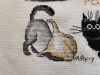 IMG_20200223_143428.thumb.jpg.28b01f049359720d4112ee158dae3084.jpg