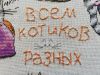 IMG_20200223_143442.thumb.jpg.f570fe41bdd4c6e734a676eddde72bb8.jpg