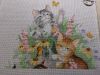IMG_20200223_182147.thumb.jpg.4b2c24517f97cbaf38db0eaa40bd43c1.jpg