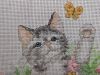 IMG_20200223_230002.thumb.jpg.ea8c77136cf780f90be89ab82b290190.jpg