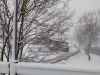 IMG_20200227_113900.jpg