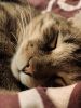 IMG_20200229_204147.thumb.jpg.b7670a71e8b437f6f202622a9beca779.jpg