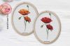 flower_poppy_045.jpg