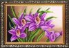 med_1251_970.thumb.jpg.da25e5924b0efd17e3b91d2813da1c91.jpg