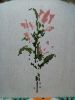 1.thumb.jpg.0119c00bcd0e3755ae5e10a4cdfaaa8f.jpg