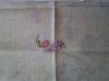 1.thumb.jpg.3062ead542bc2a755ab35e16246bc607.jpg