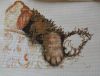 1.thumb.jpg.8d4f63b29378fea77d178a16e1332ab4.jpg