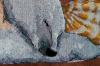1177511551_3.thumb.png.b235f34670fe38be36588a21030ec960.png