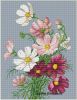 14686.thumb.jpg.8dfc4ac32af6c81de2b086ec9956cb77.jpg