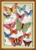 Joy Sunday 6963, Butterflies fly freely