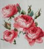 1523003898_.jpg.289d0dbac204b2224cce51dd6210e0a1.thumb.jpg.f76e9ed0ba75ad1f1c2884a265722e42.jpg