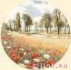 Heritage 261, Маковое поле (Летний луг, Summer Meadow)