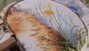 2.thumb.jpg.bd5aba16e6a06a339a38a0e32185eaf2.jpg