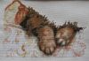 2.thumb.jpg.d668fc32b6acf4633e00e6025dbc7477.jpg