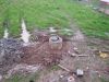 20180520_075037.jpg
