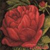 Lanarte PN-0144515, Peony