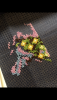 21628328-9F1A-4FCC-9991-19DDCFA8E976.thumb.png.9fe1043d97ba3f62360821e66ee05e28.png