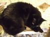 DSCF3615.thumb.JPG.97c0e2fb4960a1e58857141f7e6ee51e.JPG
