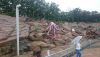 DSC_0095.thumb.JPG.f898f93e715b7147638eb1135766a923.JPG