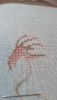 DSC_2890.thumb.JPG.24730d20f2c5d160681167dd29b6e1d7.JPG