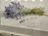 IMG-20200301-WA0030.thumb.jpg.0df1ef5d58dfd3962087f5278ba5014d.jpg