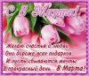 IMG-20200308-WA0026.jpg