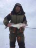 IMG-20200319-WA0003.thumb.jpg.438f865930ff82675aa2ec33db82f3ac.jpg