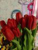 IMG_20200305_205319.thumb.jpg.d92a71922bb650be695048d57f56dbce.jpg