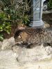 IMG_20200310_125421.thumb.jpg.cc80a6db5ed4bb172cc4b8f15825a83d.jpg