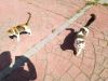 IMG_20200311_125534.thumb.jpg.bfe7e3d3327d90d8cd7f24ad815716cc.jpg