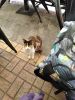 IMG_20200312_152404.thumb.jpg.56184fa8e8519f9759df4e827e176a76.jpg