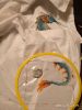 IMG_20200312_223950.jpg