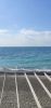 IMG_20200324_124909.thumb.jpg.f7427ac313f434291bb939d2ebcbd6a5.jpg
