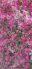 IMG_20200324_163452.thumb.jpg.5034d8ada94a7e4997f9fc73cf618ca7.jpg