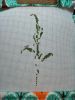 IMG_20200324_221444.thumb.jpg.960cf5a58ca807b4ac5845082ebccd19.jpg