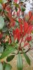 IMG_20200325_125058.thumb.jpg.cced2614dbf20597436950bcfb912d6e.jpg
