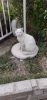 IMG_20200326_162232.thumb.jpg.8bf08bd93d949428d382543622d1548e.jpg