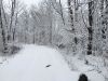 IMG_2068.thumb.JPG.1c5dcfe8eaacfe456a6e9612ebb111ed.JPG