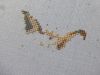 P1140470-1.thumb.jpg.79a4f5bfce63fe8be0ff2216eb946a28.jpg
