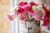 buttercup_02.thumb.jpg.1d94f106edd488ef08916e77f3c9df34.jpg