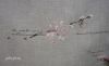 mtsa-19-1024x617.thumb.jpg.381e50ddcfde57daa3d03fc97215d561.jpg