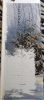1.thumb.jpg.357cf436e9a98f7b44fbad2d1565b4f4.jpg