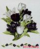 Lanarte 34840 (PN-0008023), Черные тюльпаны (Black tulips)