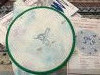 1477C3E9-ED20-44BD-9457-88E7FFC7E7B0.thumb.jpeg.bfcb1ccf5aa8197e8b1a3930314249f5.jpeg?1586269562012