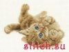 15362.thumb.jpg.2138b982f0ecd7219fd62cbf0c39bea3.jpg