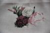 2.thumb.jpg.72caae142ab73da311d340bf5e2888ca.jpg