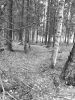 20200415_142830.thumb.jpg.f01ba7e06aecaf85524926a49ead758a.jpg
