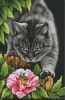 20200429_223754.thumb.png.5351abc8dbf9db24a016cf9c2a2abf66.png